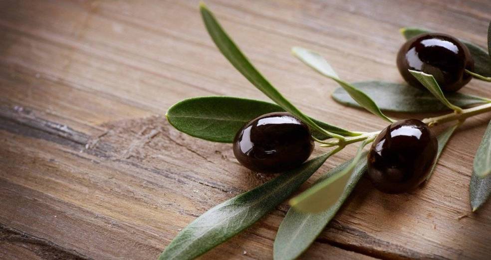 olive-branch-and-olive-fruit-wallpaper-2560x1440
